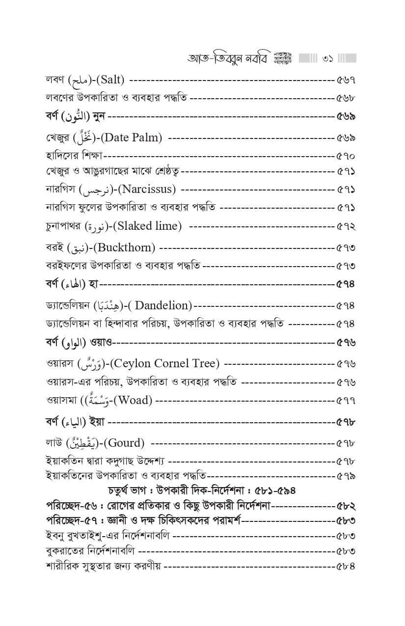 31-1-1.jpg